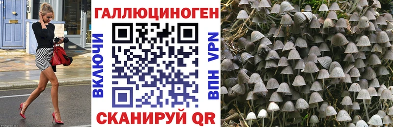 Псилоцибиновые грибы Magic Shrooms  Свободный 